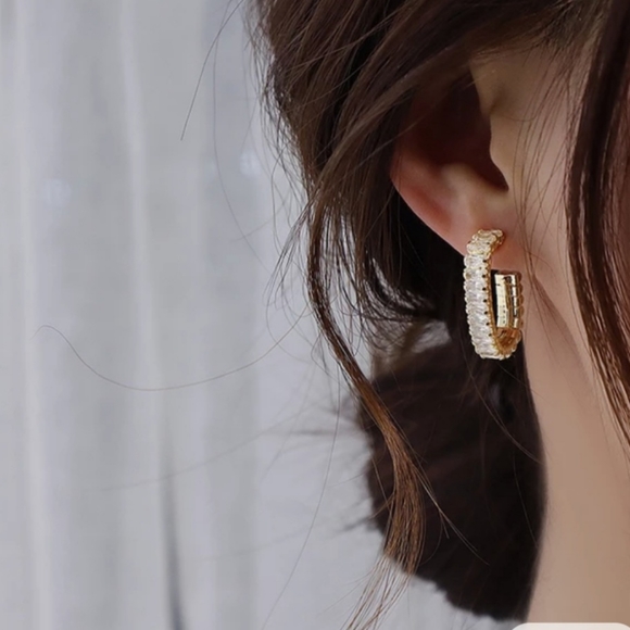 14K GOLD TEMPERAMENT WITH AAA ZIRCON STUD EARRINGS - Picture 3 of 8